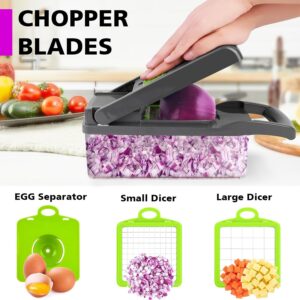 Vegetable Chopper, Pro Onion Chopper, Multifunctional 13 in 1 Food Chopper, Kitchen Vegetable Slicer Dicer Cutter, Veggie Chopper With 8 Blades, Carrot and Garlic Chopper